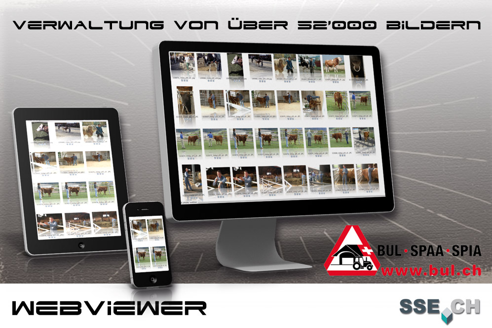 WebViewer, DAM mit 52'000 Bildern